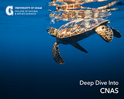 CNAS Dive deep cover