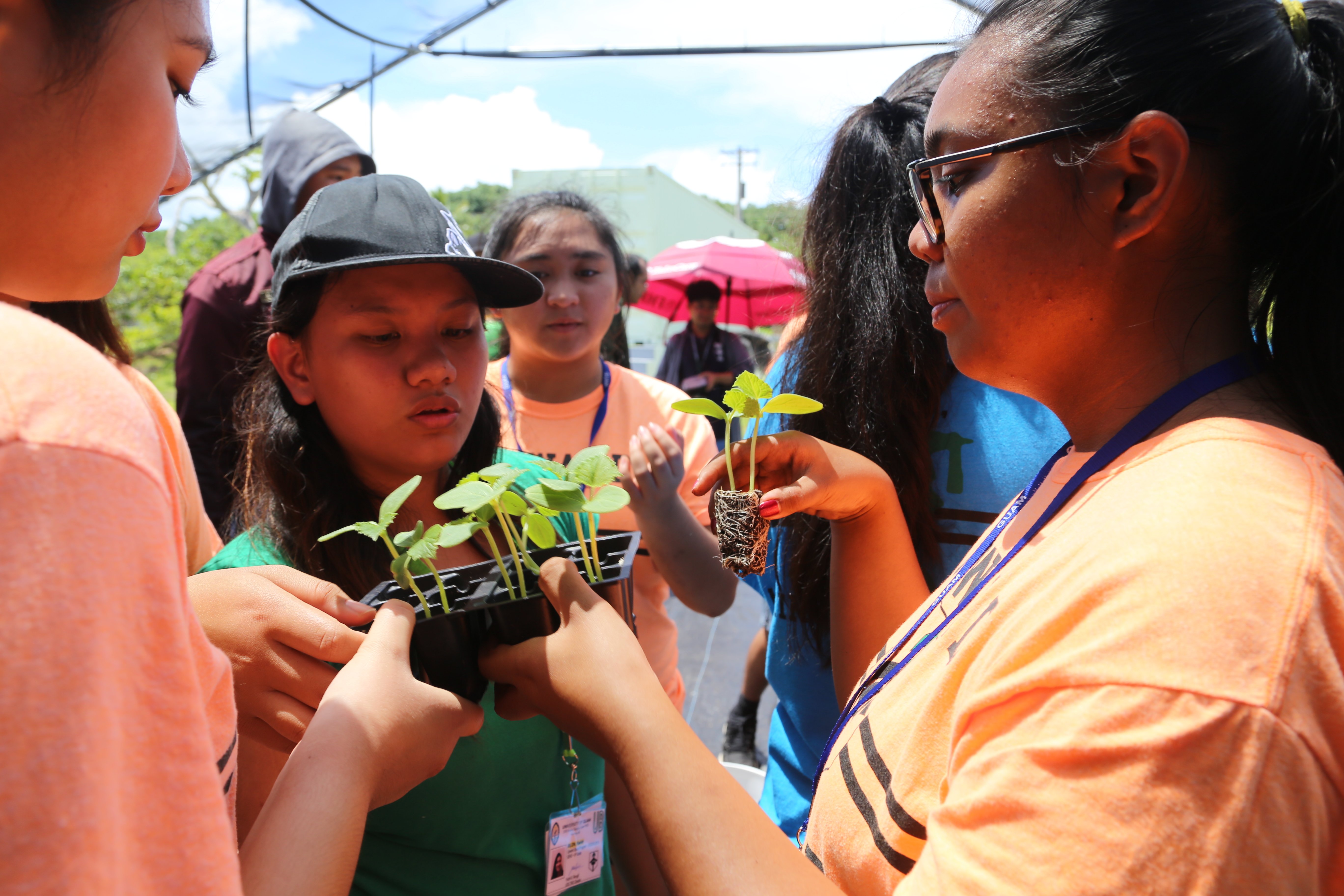 High school students at UOG Green Garden