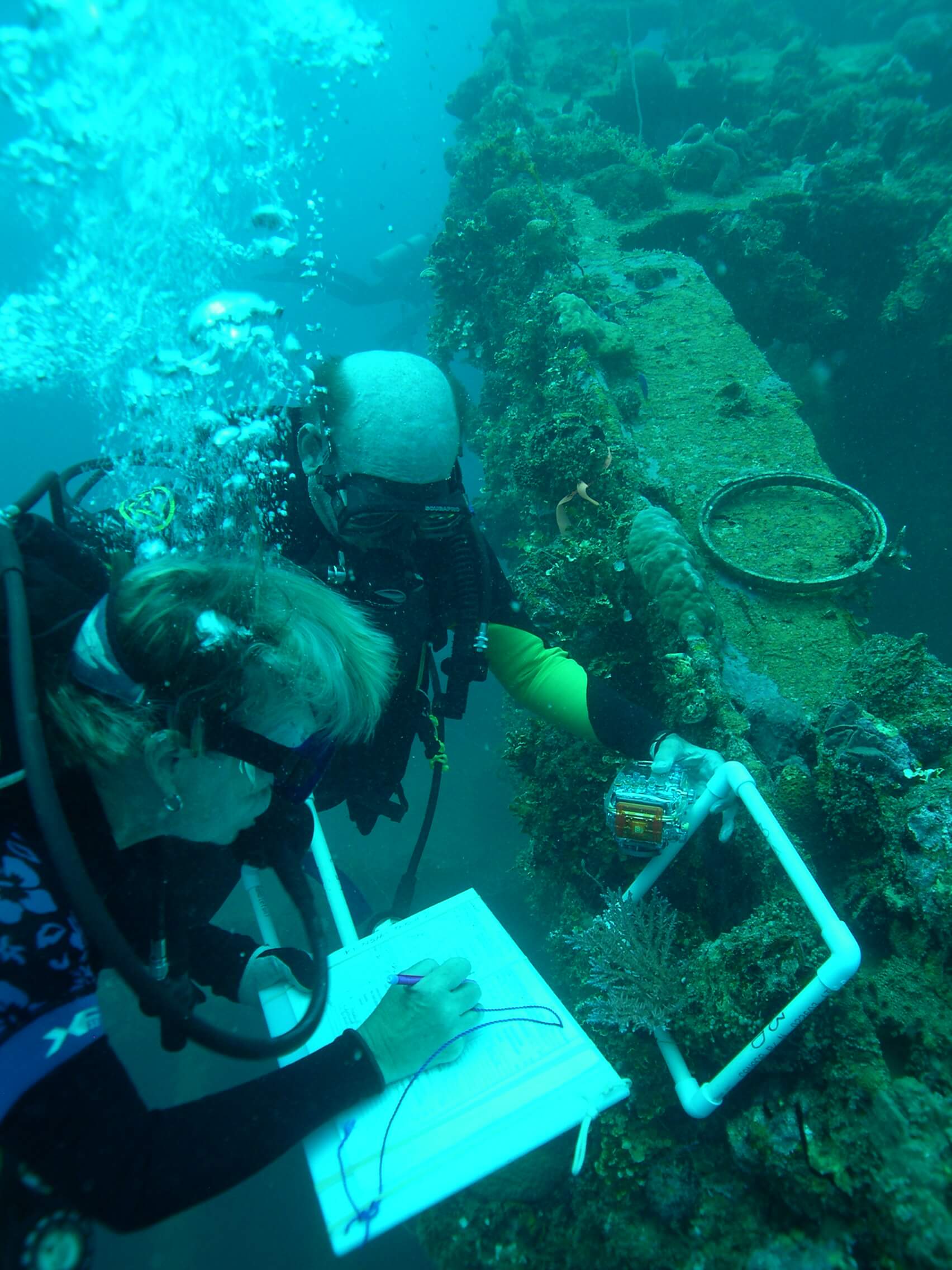 Volunteer divers recording the benthic covering on the Kiyosumi Maru shipwreck in Chuuk Lagoon. 