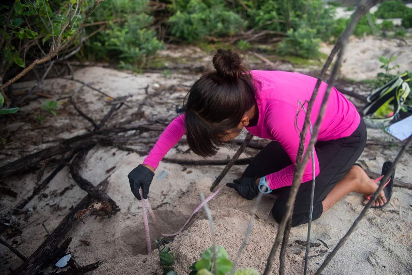 Leilani Sablan conducts inventory on a sea turtle nesting site.