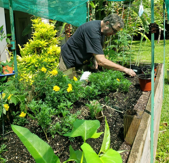 Raised Bed Garden