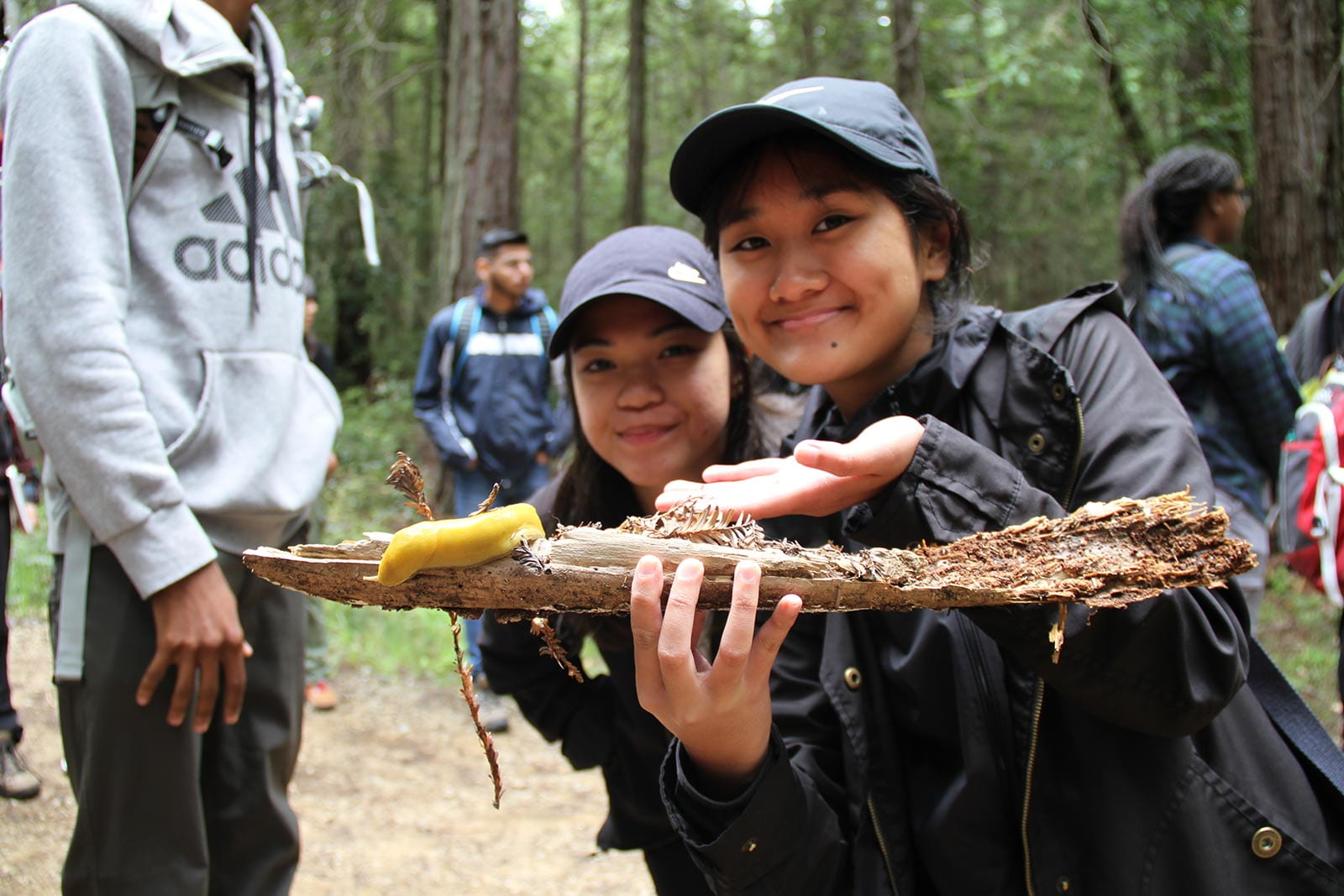 Photo of a student holding an insect on a branch