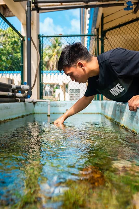 A student researcher with a National Science Foundation student research program