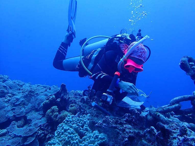 Sarah Lemer diving