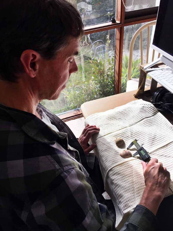 UOG archaeologist Michael Carson measures a cowrie shell