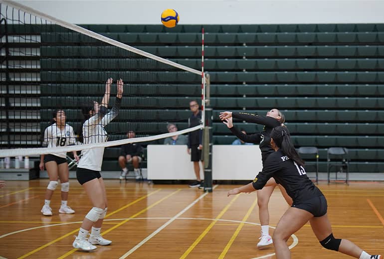 Team member in black jersey spikes volleyball to opposing team