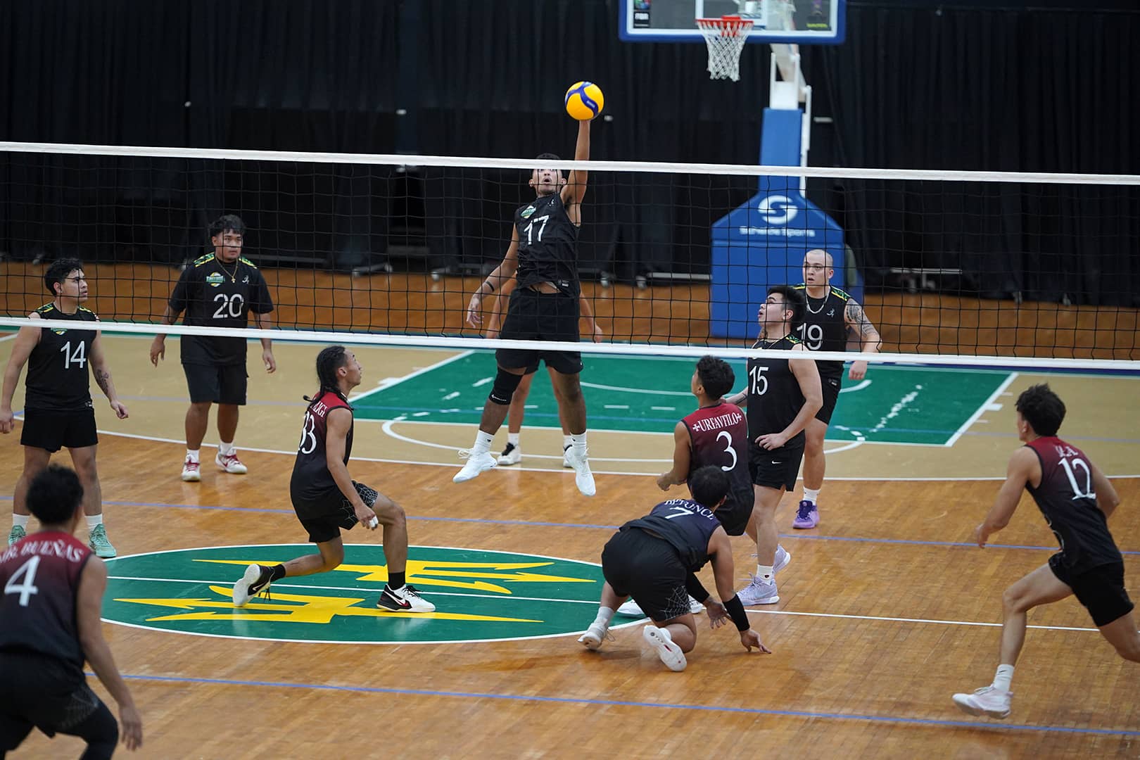 Toupe and tritons playing volleyball