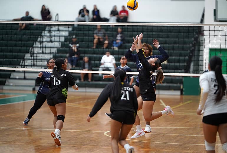 Team member in black jersey sets for other team member to spike