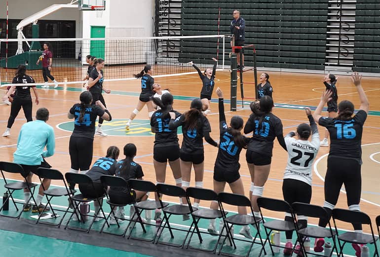 Volleyball team on sidelines and court cheer