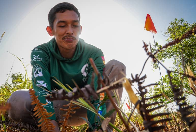 Upward view of man planting tree