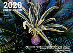 2020 Impact Report Cover