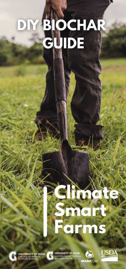 DIY Biochar Guide