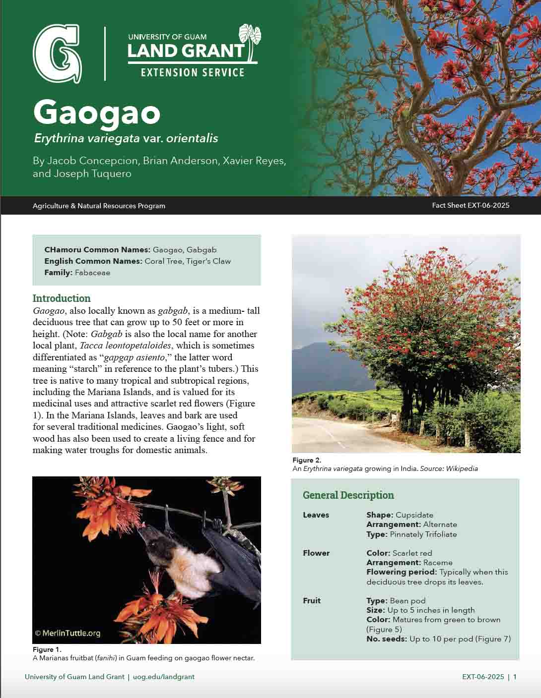 Click here to view the Gaogao fact sheet