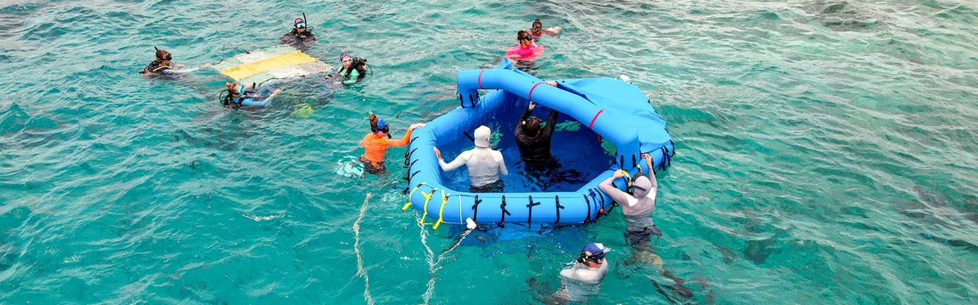 Students and faculty deploy SECORE