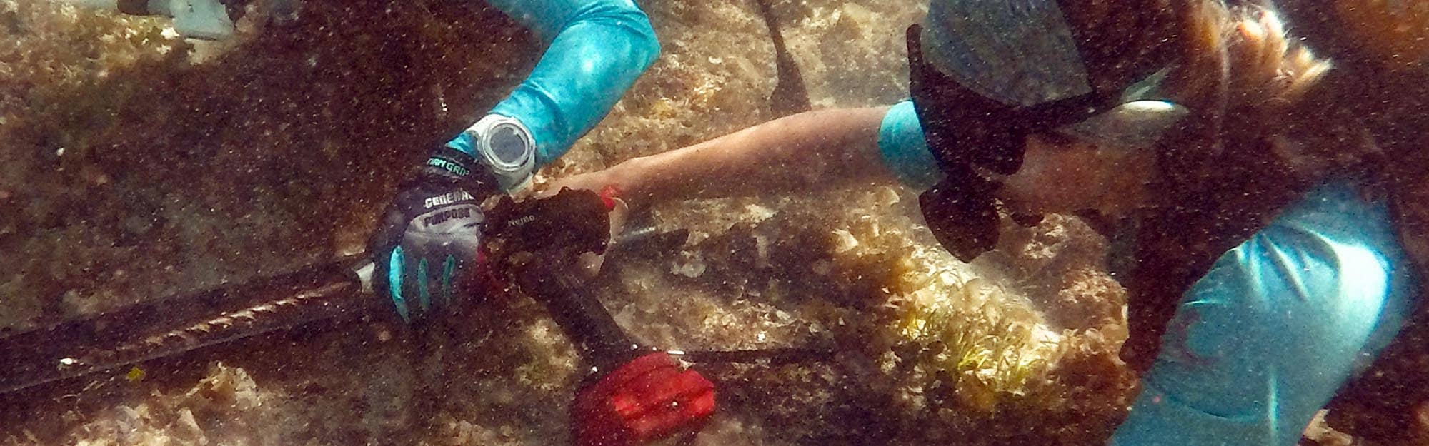 Fujimura Lab deploys instruments
