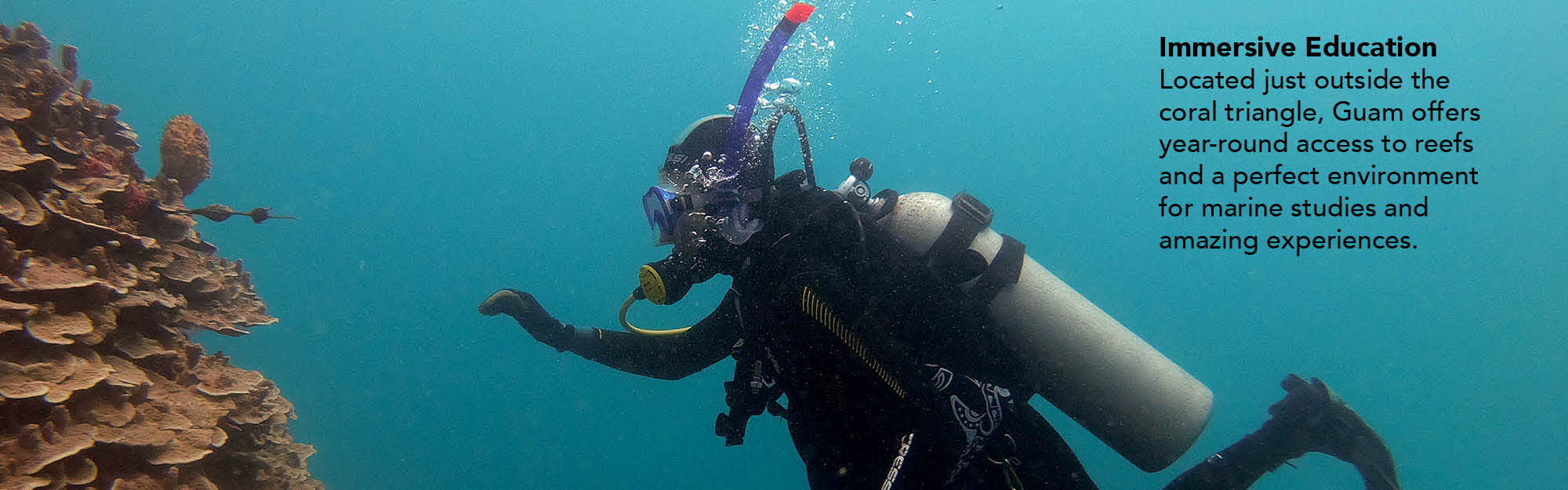 Student diver inspects coral